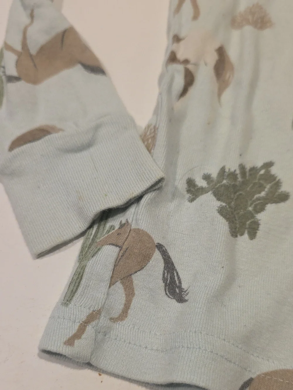 Carter's Light Blue Horse & Cactus Long Sleeve Tee 3t